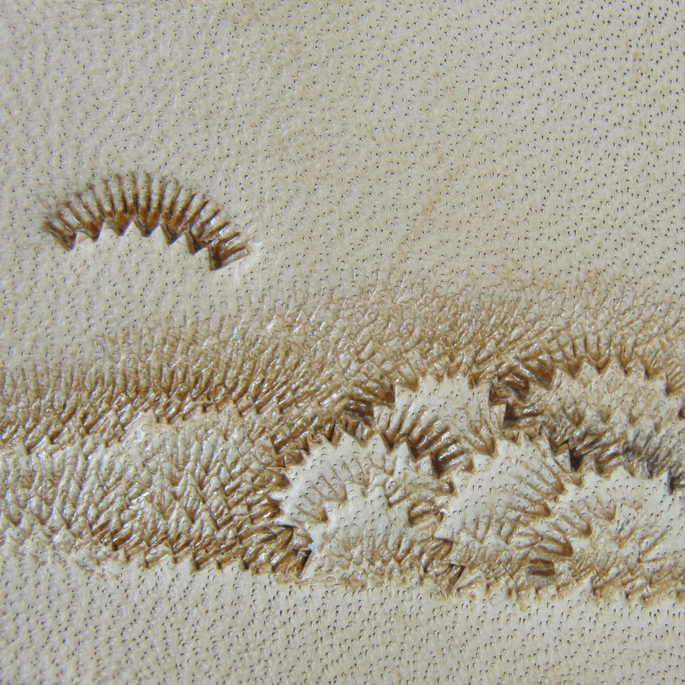 F934 Figure Carving Leather Stamping Tool | Pro Leather Carvers