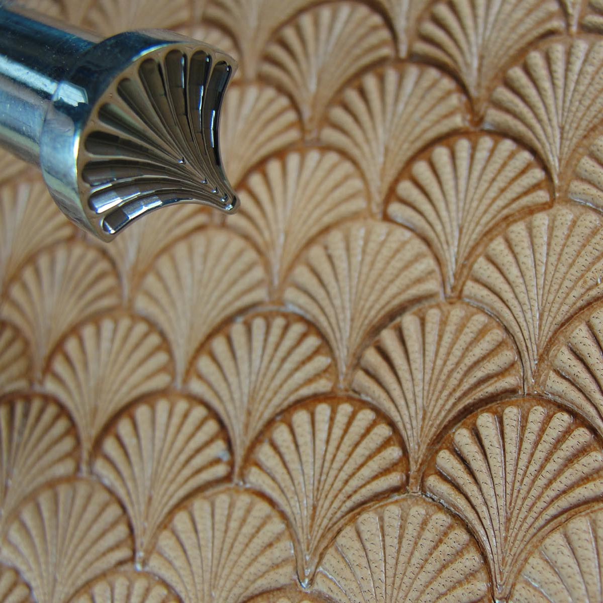 Petal Shell Burst Geometric Leather Stamp - King | Pro Leather Carvers
