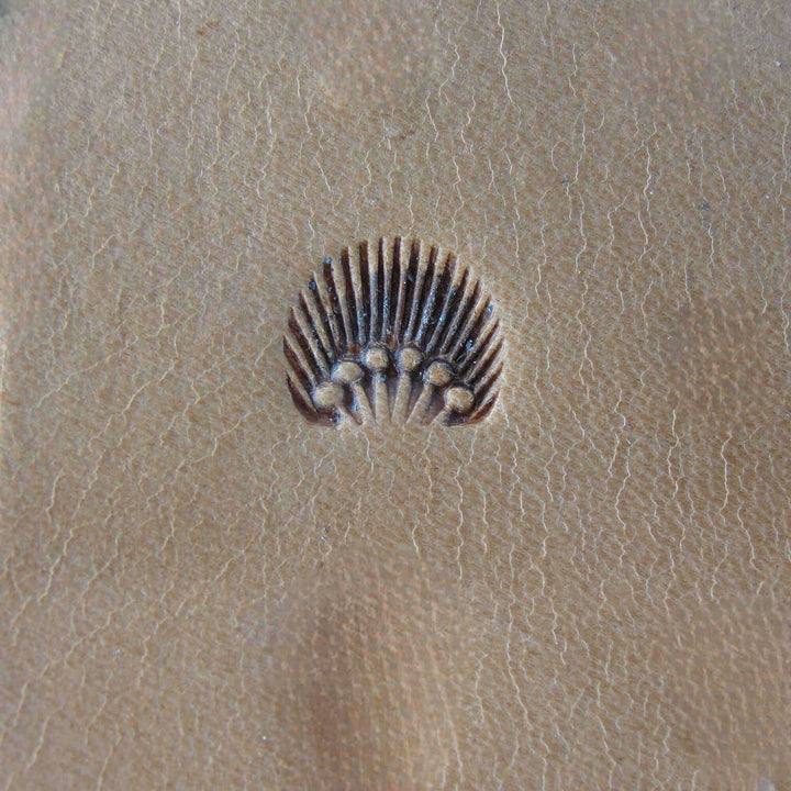 809 6-Seed Border [USED]