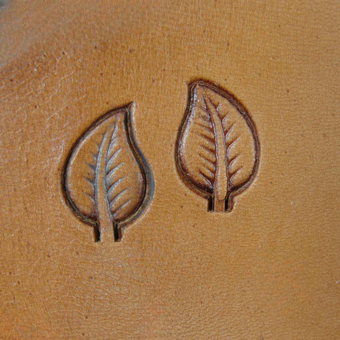 953/954 Leaf Set [USED]