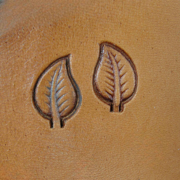 953/954 Leaf Set [USED]