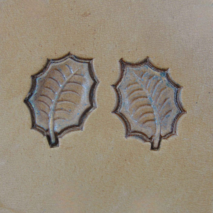 555/556 Leaf Set [USED]