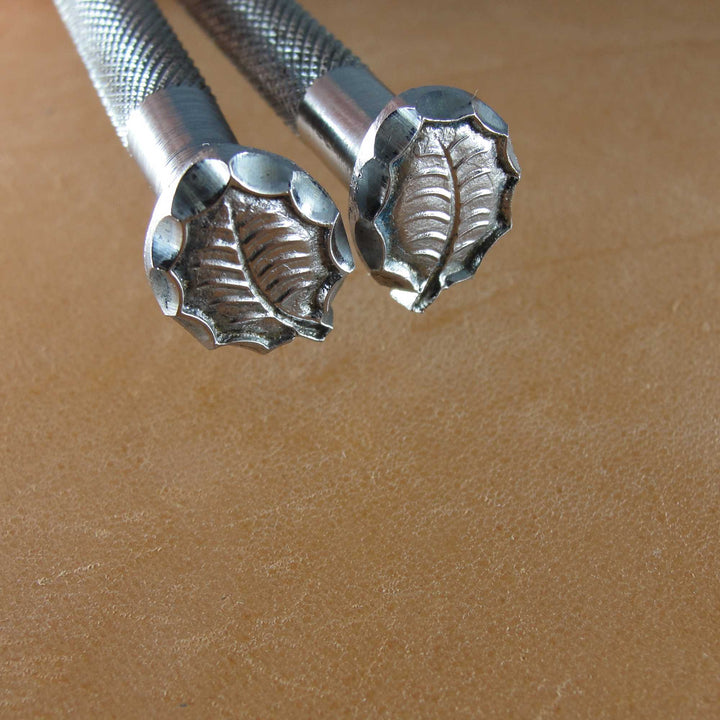 555/556 Leaf Set [USED]