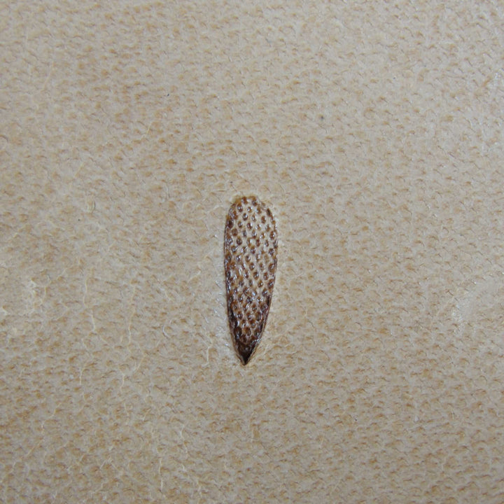 617 Small Checkered Thumb Print [USED]