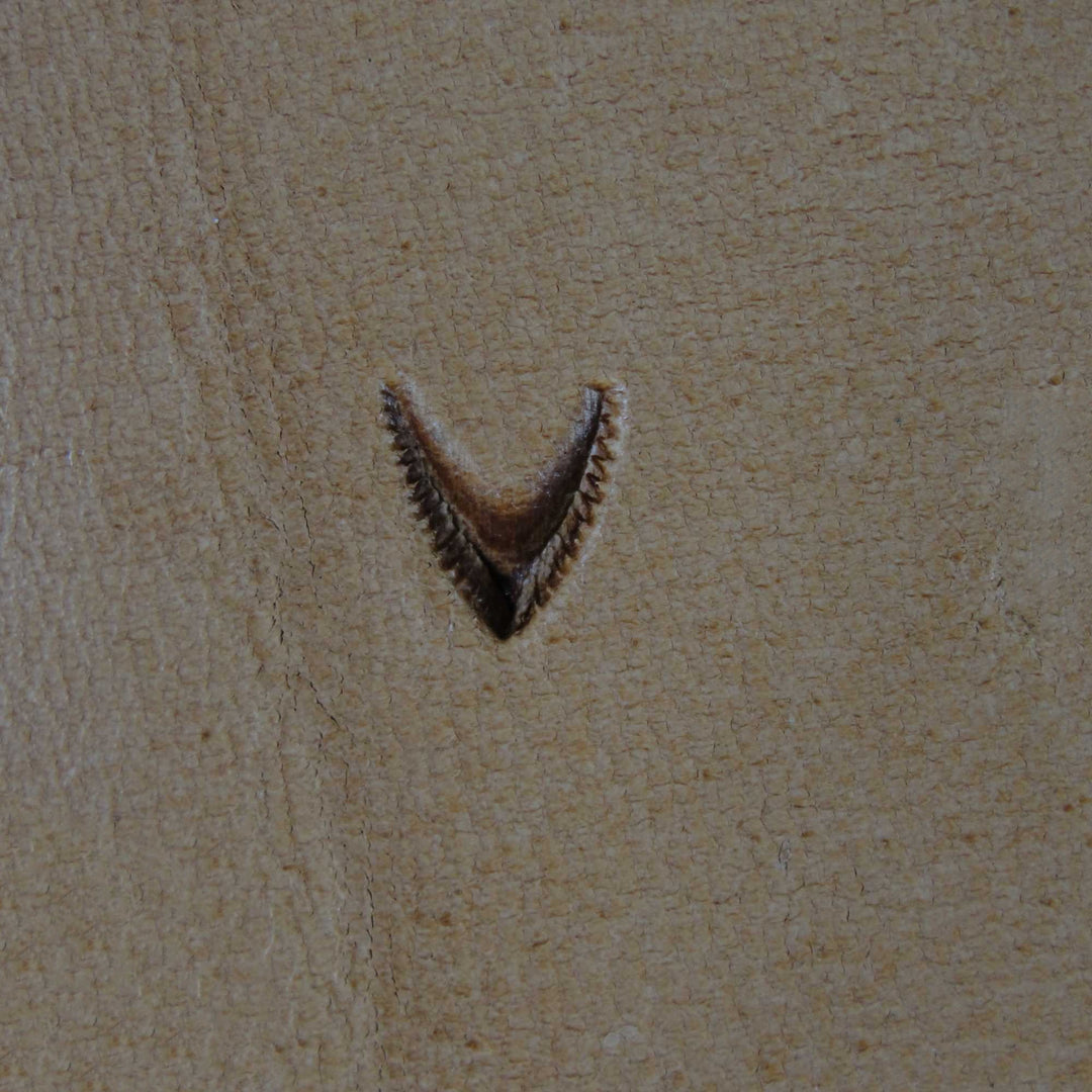 802 Mule's Foot [USED]