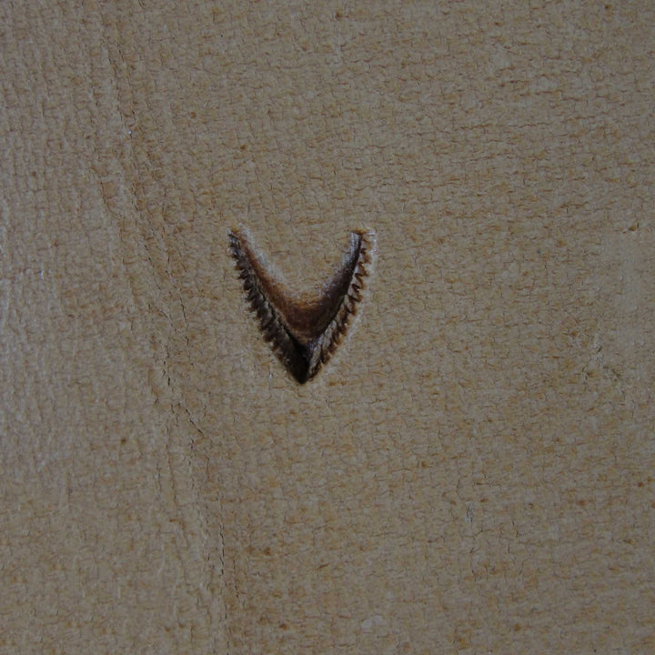 802 Mule's Foot [USED]